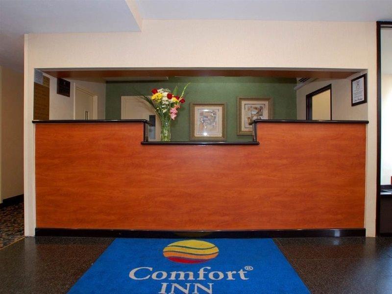 Comfort Inn Jfk Airport New York Kültér fotó