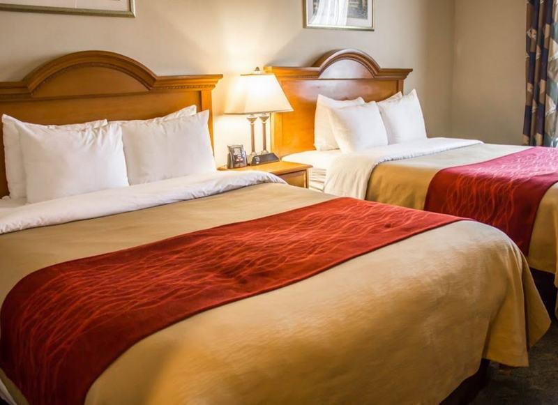 Comfort Inn Jfk Airport New York Kültér fotó